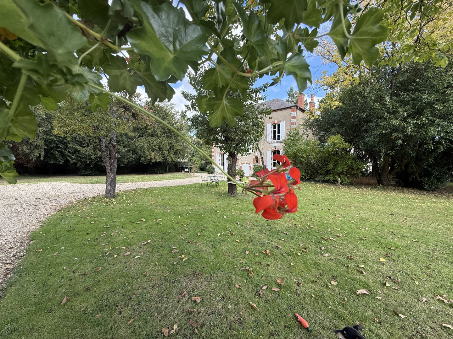 property
